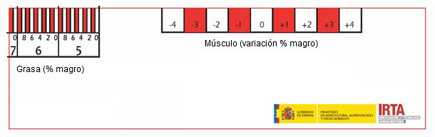 Regleta para la determinación del porcentaje de magro con el método ZP