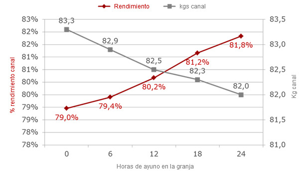 Evolución del peso y rendimiento canal según horas de ayuno en granja, con 12 horas de transporte y estabulación pre sacrificio