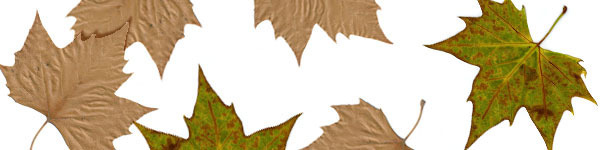 El otoño empieza con precios interesantes