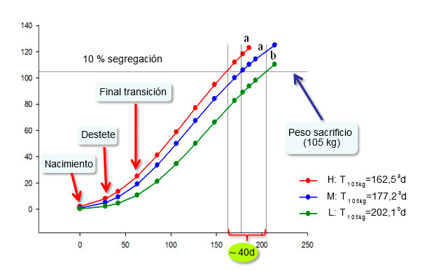 Evolución del peso vivo medio de los cerdos a lo largo del tiempo