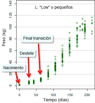 Evolución del peso vivo 