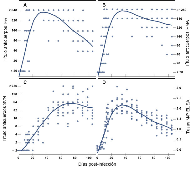 Respuesta de anticuerpos específicos frente a PRRSV en cerdos conforme pasa el tiempo tras la infección experimental