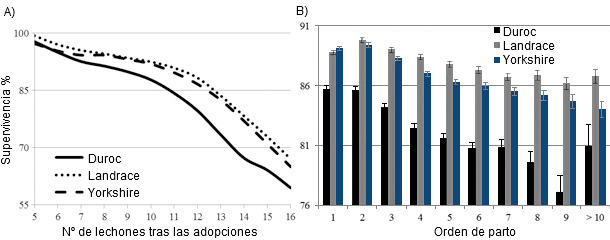 Effect of number after transfer (A) and parity (B) on survival percentage by breed of sow