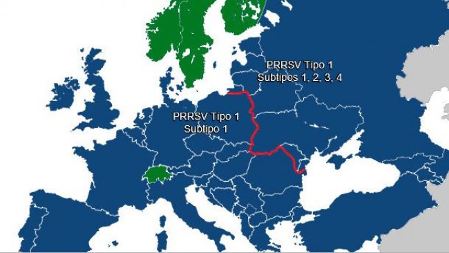 Diversidad de PRRSV en Europa