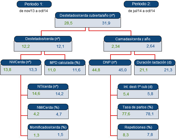 Árbol de productividad