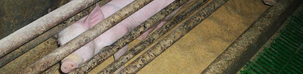 Si las tres zonas no quedan bien delimitadas tendremos problemas