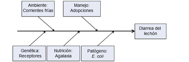 Modelo de cinco factores productivos como causantes de enfermedad.