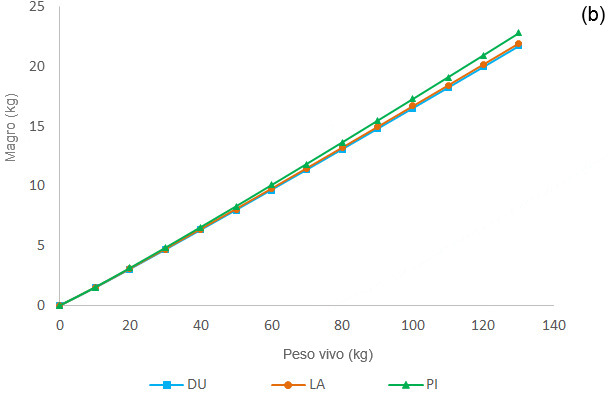 Crecimiento alométrico del tejido graso