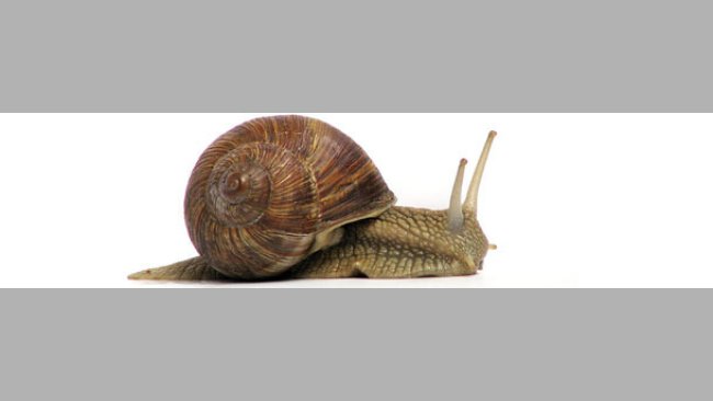 Larga apatía en los mercados