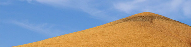 Mercado ap&aacute;tico en busca de oportunidades