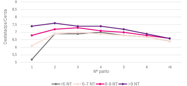 Evolución de los NT en la vida productiva en función de los NT en el primer parto