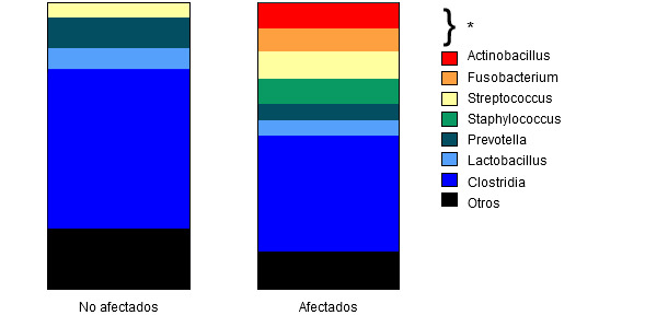Abundancia relativa en cada grupo de varios géneros de bacterias y de la clase Clostridia.