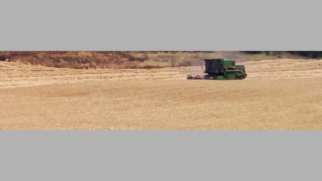 Buena cosecha de cereales