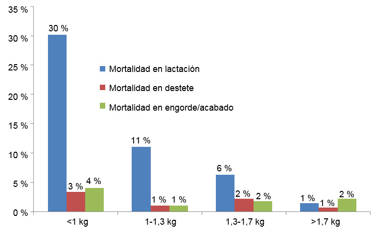 Mortality in each birth weight group by stage of production