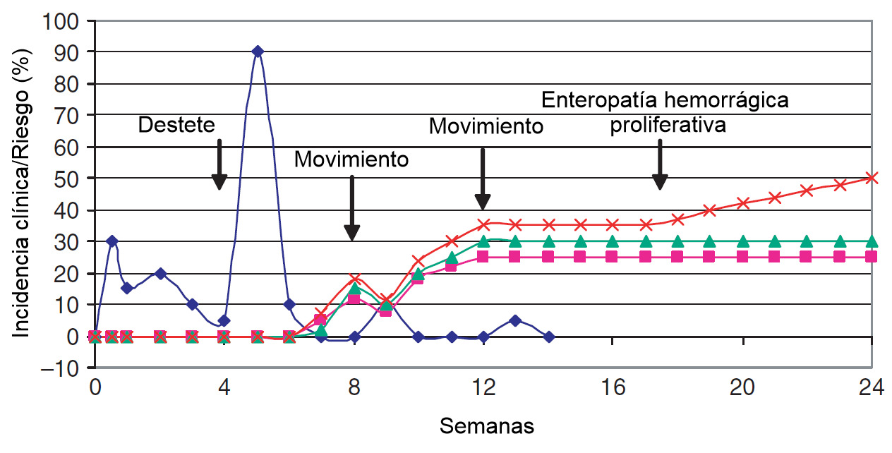 Epidemiología de las enfermedades bacterianas digestivas