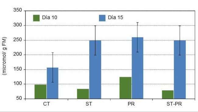 Concentración de ácidos grasos de cadena corta sobre la digesta del colon de lechones de 10 y de 15 días tras el destete con 4 dietas experimentales distintas