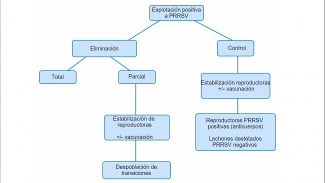 Figura&nbsp;1. Vista esquem&aacute;tica de los distintos planteamientos en granjas PRRSV positivas
