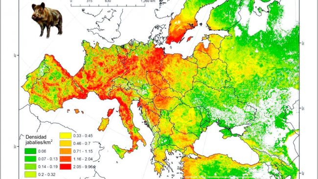 Figura 2: Poblaci&oacute;n modelada de jabal&iacute; en Europa. Fuente: FAO-ASFORCE, Mayo 2015
