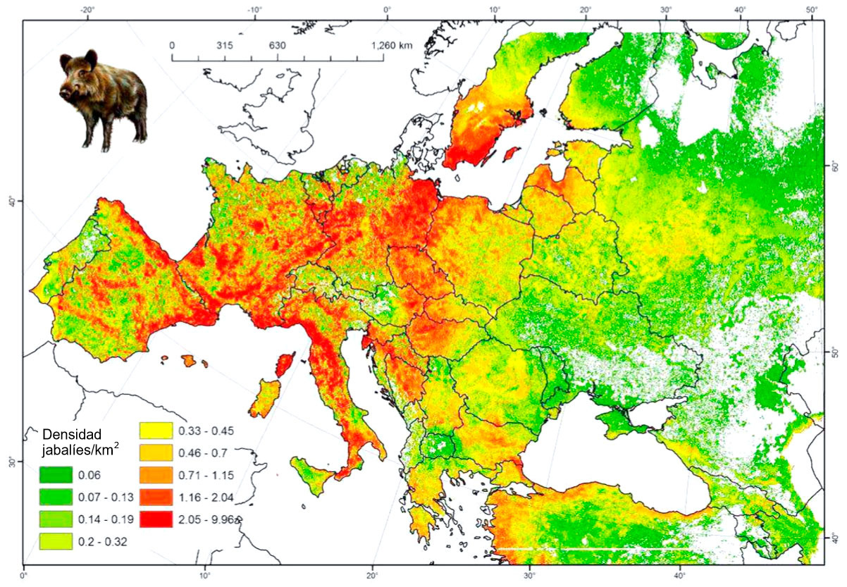 Población modelada de jabalí en Europa
