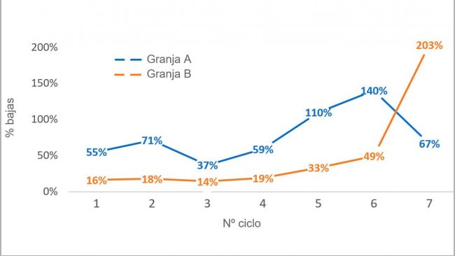 Gráfico 1. Porcentaje de cerdas eliminadas por nº de ciclo (nº cerdas eliminadas por ciclo/censo medio por ciclo) en 2016