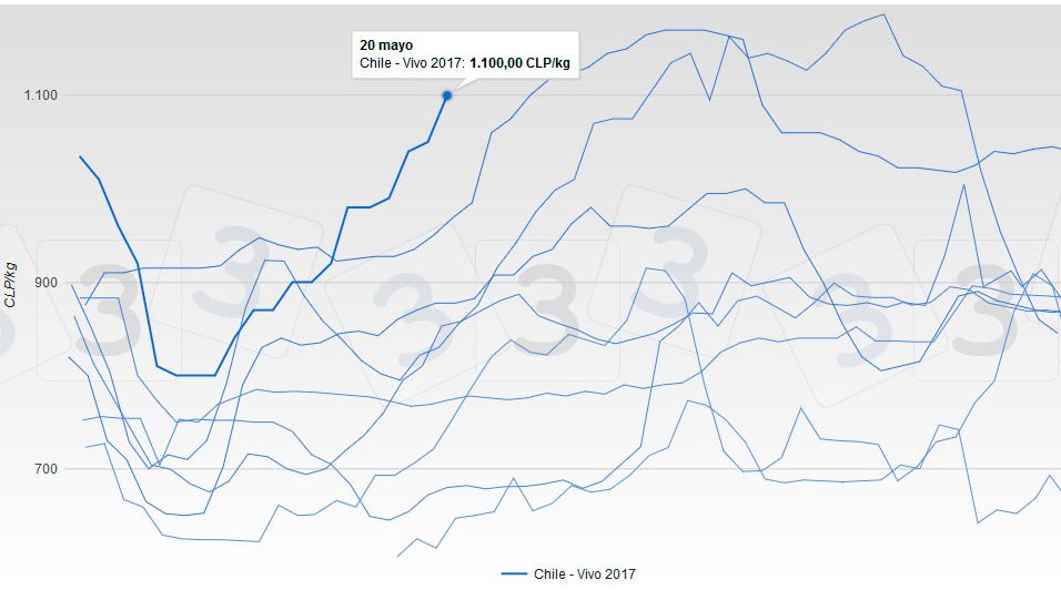 Comportamiento del precio del cerdo vivo en Chile.
