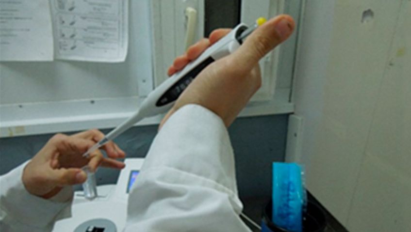 Evaluaci&oacute;n de semen 1