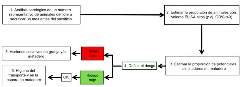 Figura 3. Posible estrategia de control de la salmonelosis porcina.
