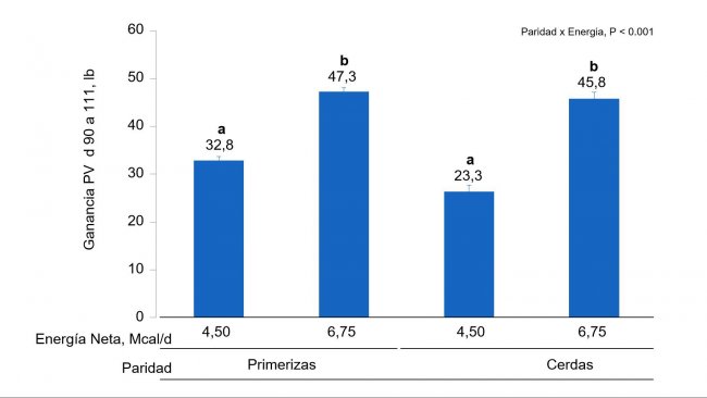 Figura 1B. &nbsp;Efectos de la alimentaci&oacute;n con diferentes niveles&nbsp;de energ&iacute;a&nbsp;desde el&nbsp;d&iacute;a&nbsp;90 al&nbsp;111 de gestaci&oacute;n en la ganancia de PV de primerizas&nbsp;y cerdas. Las medias con un super&iacute;ndice diferente dentro del nivel de paridad son diferentes&nbsp;(P &lt;0,05).
