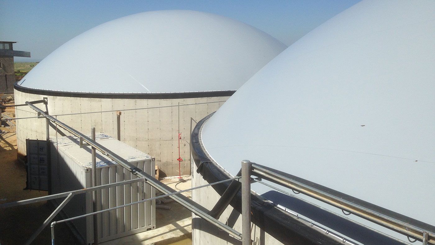 Vista general de una planta de biog&aacute;s