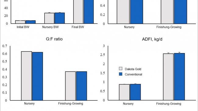Figura 1. Crecimiento de cerdos de engorde alimentados con DDGS Dakota Gold o Convencional.
