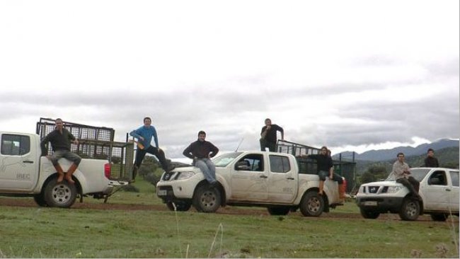 Foto 2. El trampeo mediante cajas o corrales-trampa es una opci&oacute;n para actuar sobre el jabal&iacute; en zonas no cazables, pero resulta cara y no siempre eficaz.
