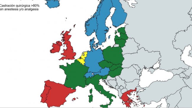 Fuente: Second progress report 2015 – 2017 on the European declaration on alternatives to surgical castration of pigs