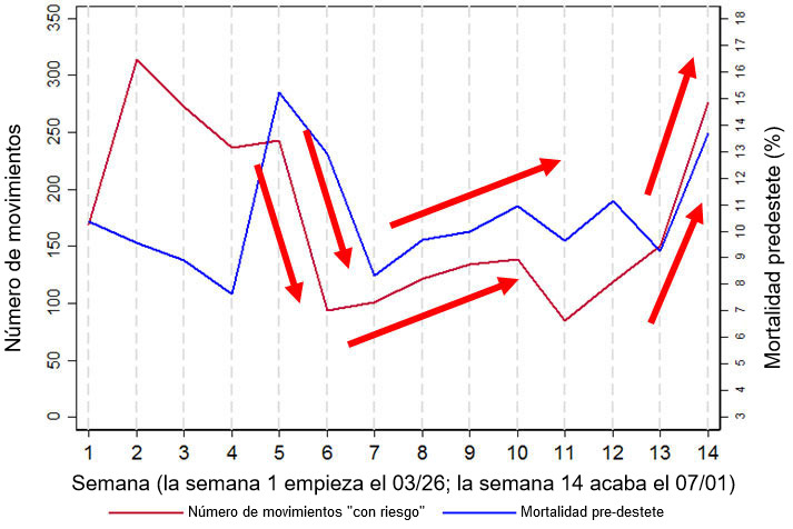 Figura 2. Gr&aacute;fico que muestra la relaci&oacute;n entre la mortalidad pre-destete y el n&uacute;mero de movimientos &quot;de riesgo&quot; (definidos como movimientos hacia/desde los muelles de carga y/o destetes). Estos datos son un subconjunto de los datos recogidos durante 14 semanas en una de las granjas analizadas, la granja 3.
