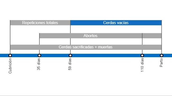 Tipos de pérdidas de gestación que repercuten en una menor tasa de partos, con el detalle de los distintos tipos de repeticiones según en el momento en que se producen.