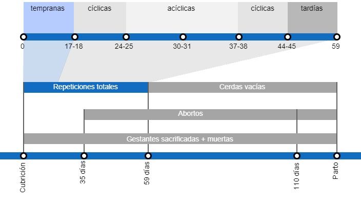 Tipos de p&eacute;rdidas de gestaci&oacute;n que repercuten en una menor tasa de partos, con el detalle de los distintos tipos de repeticiones seg&uacute;n en el momento en que se producen.
