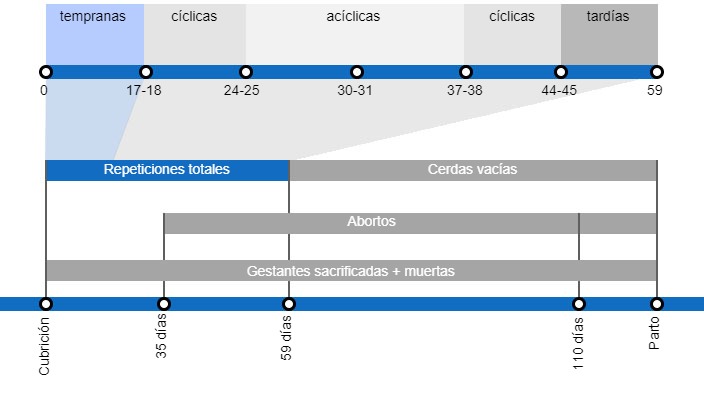 Tipos de p&eacute;rdidas de gestaci&oacute;n que repercuten en una menor tasa de partos, con el detalle de los distintos tipos de repeticiones seg&uacute;n en el momento en que se producen.
