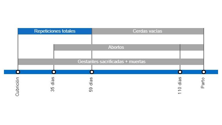 Tipos de p&eacute;rdidas de gestaci&oacute;n que repercuten en una menor tasa de partos y periodo en el que se producen despu&eacute;s de la cubrici&oacute;n.
