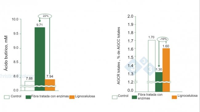 Figura 1. Control = no fibra, Fibra tratada con enzimas = PNA soluble, Lignocelulosa&nbsp;= PNA insoluble.&nbsp;(A) La producci&oacute;n de &aacute;cido but&iacute;rico aumenta un 22% en lechones (15 kg) al fermentar fibra soluble. (B) La fermentaci&oacute;n de prote&iacute;nas se reduce un 19% en lechones (15 kg) al fermentar fibra soluble. AGCC = &aacute;cidos grasos de cadena corta, AGCR = &aacute;cidos grasos de cadena ramificada.
