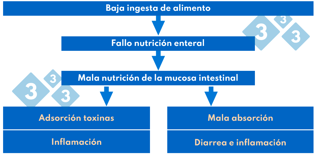 Cuadro 3. Patogenia del síndrome postdestete.