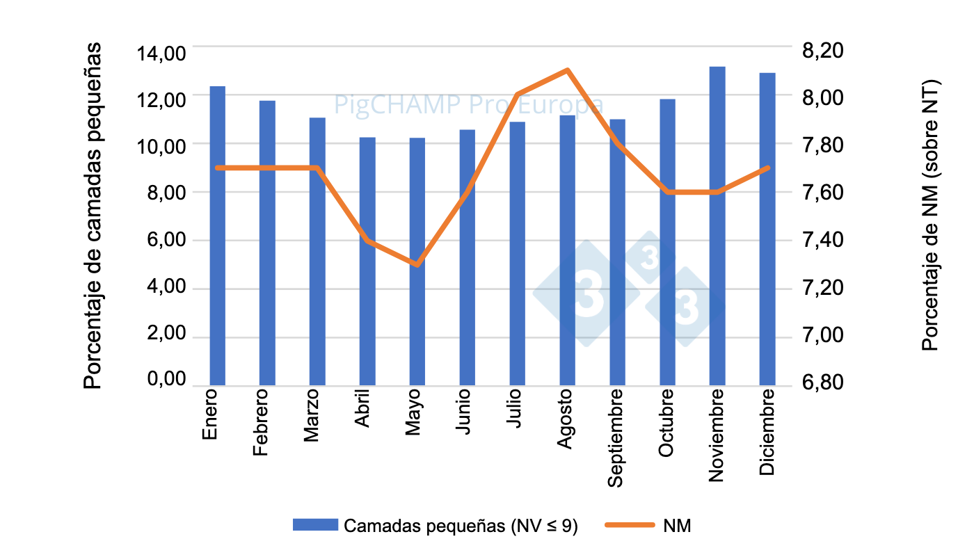 Gr&aacute;fico 3. Distribuci&oacute;n porcentual de lechones NM y de camadas peque&ntilde;as (NV&le;9 lechones), 2018-2019.
