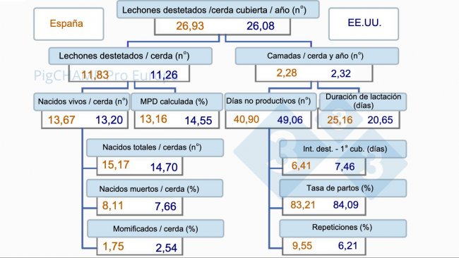 Imagen 1. &Aacute;rbol de productividad, Espa&ntilde;a vs EEUU, 2019.
