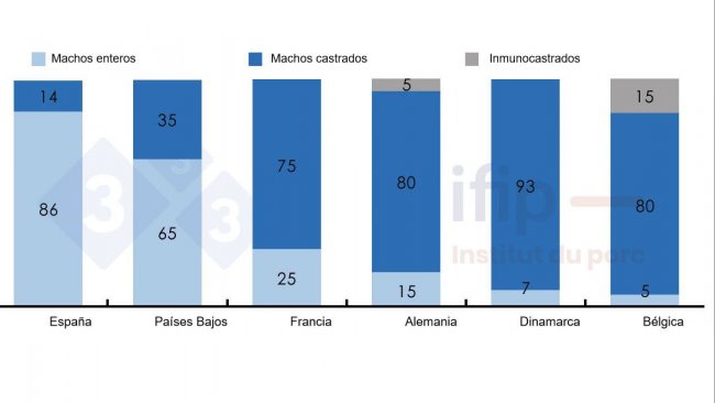 Porcentajes del sacrificio de cerdos seg&uacute;n machos enteros, castrados o inmunocastrados.
