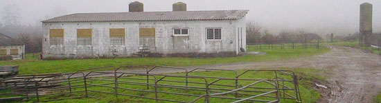 Centro de inseminación