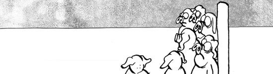 Lechones espabilados