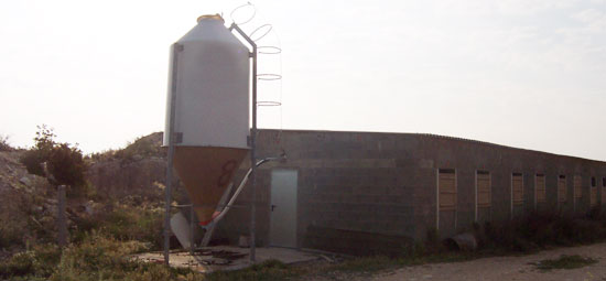 Silo en granja porcina