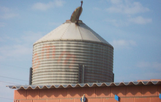 Silo en granja porcina