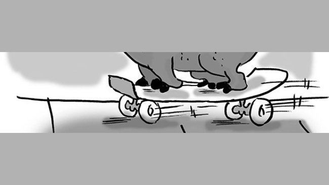 Skate boar