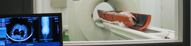 Examination of a live pig with a CT unit.