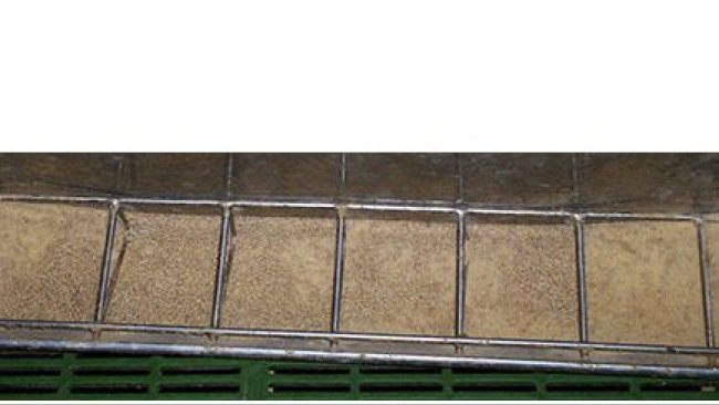 Variability in Feed Manufacturing