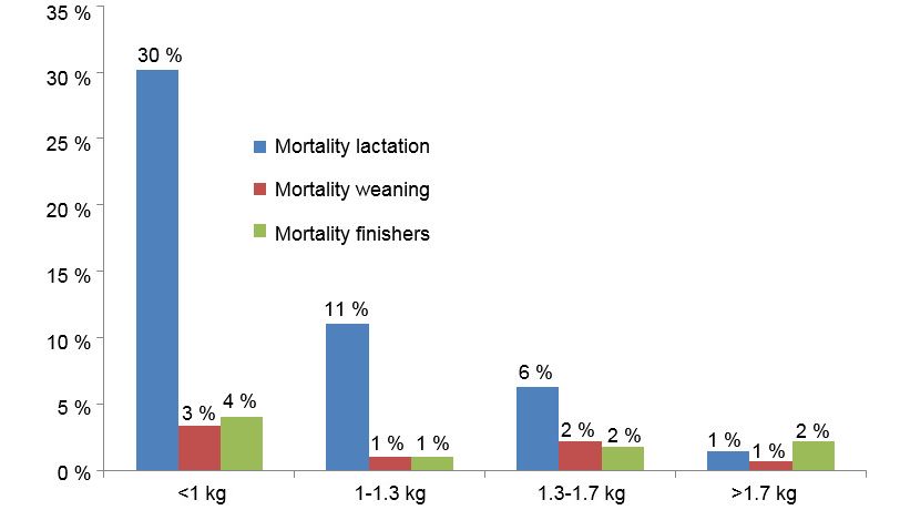 Figure 1. Mortality in each birth weight group by stage of production.
